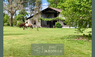 Maison 7 Pièces 220 m² à vendre à Luxey (40430)