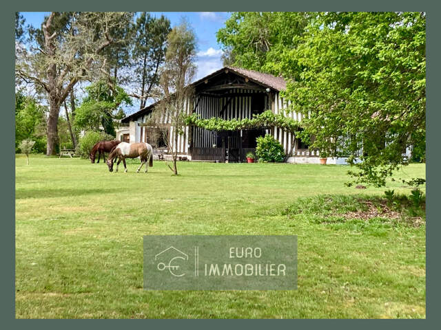 LANDAISE AUTHENTIQUE - COLOMBAGES - GITE - 7HA - PISCINE - — photo du bien