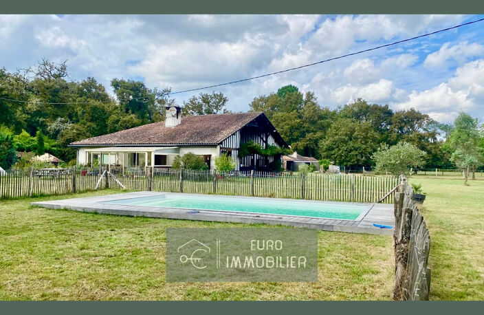 LANDAISE AUTHENTIQUE - COLOMBAGES - GITE - 7HA - PISCINE - — photo 4