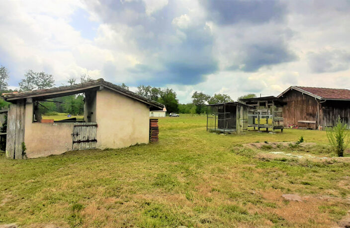 Proche Bazas- maison - 3 chambres -1200 m2 - GIRONDE (33) - — photo 2