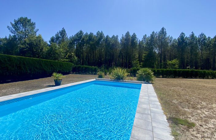  CONTEMPORAINE PISCINE PLAIN PIED - 3 chambres - 2000m2 terr — photo 3