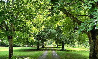 Maison 4 Pièces 140 m² à vendre à Carignan-de-Bordeaux (33360)