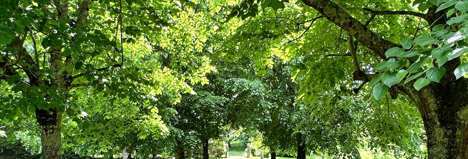 Maison 4 Pièces 140 m² à vendre à Carignan-de-Bordeaux (33360)