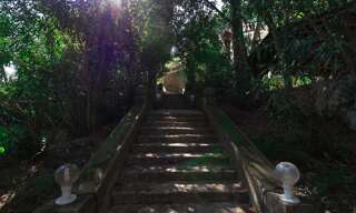 Maison 12 Pièces 290 m² à vendre à Mougins (06250)