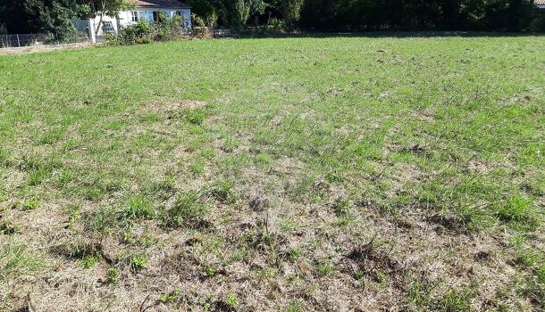 Terrain  à vendre Nantillé 17770