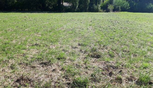 Terrain  à vendre Nantillé 17770