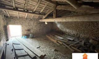 Photo N° 7