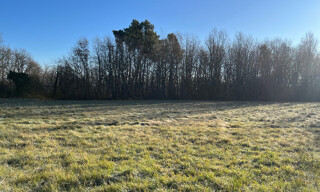 Photo N° 5