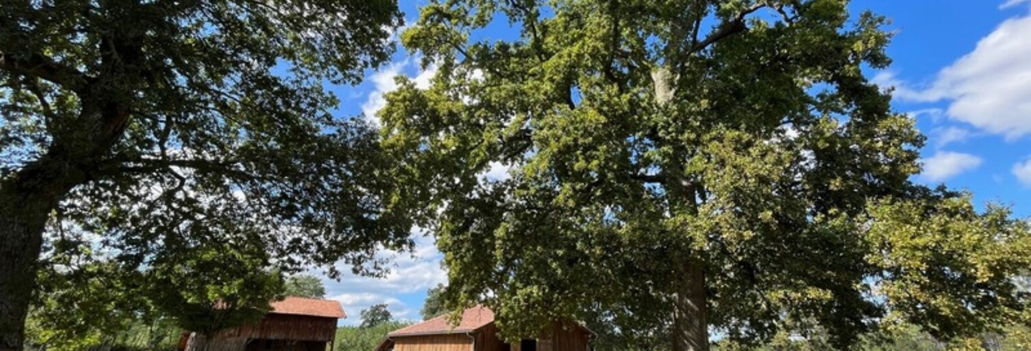 Terrain  5878 m² à vendre à Taller (40260)