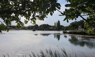 Photo N° 6