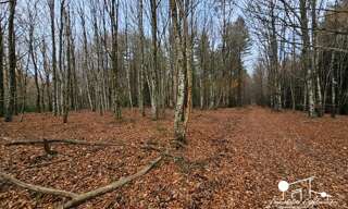 Photo N° 5