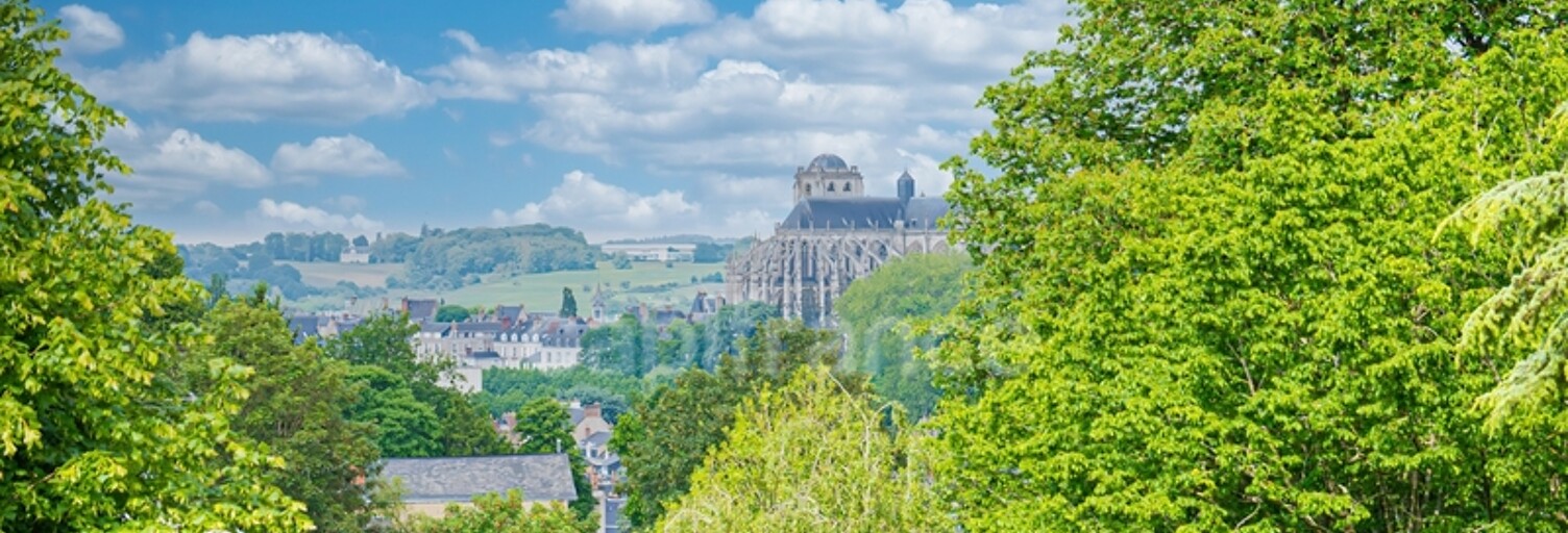 Maison 10 Pièces 260 m² à vendre à Le Mans (72000)