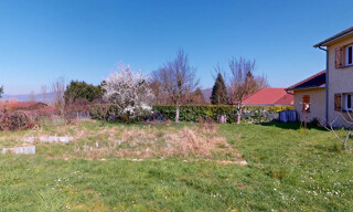 Photo N° 4
