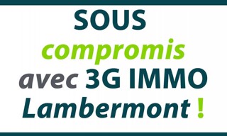 Maison 8 Pièces 150 m² à vendre à Longwy (54400)