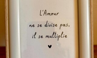Photo N° 15