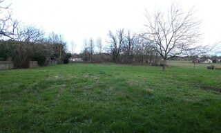 Photo N° 5