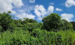 Terrain  697 m² à vendre à Les Abymes (97139)