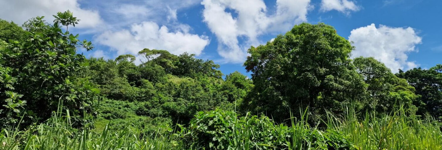 Terrain  697 m² à vendre à Les Abymes (97139)