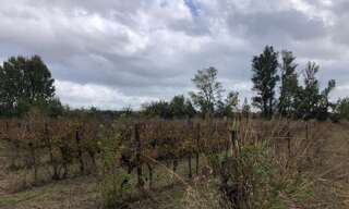 Terrain  18960 m² à vendre à Castillon-du-Gard (30210)