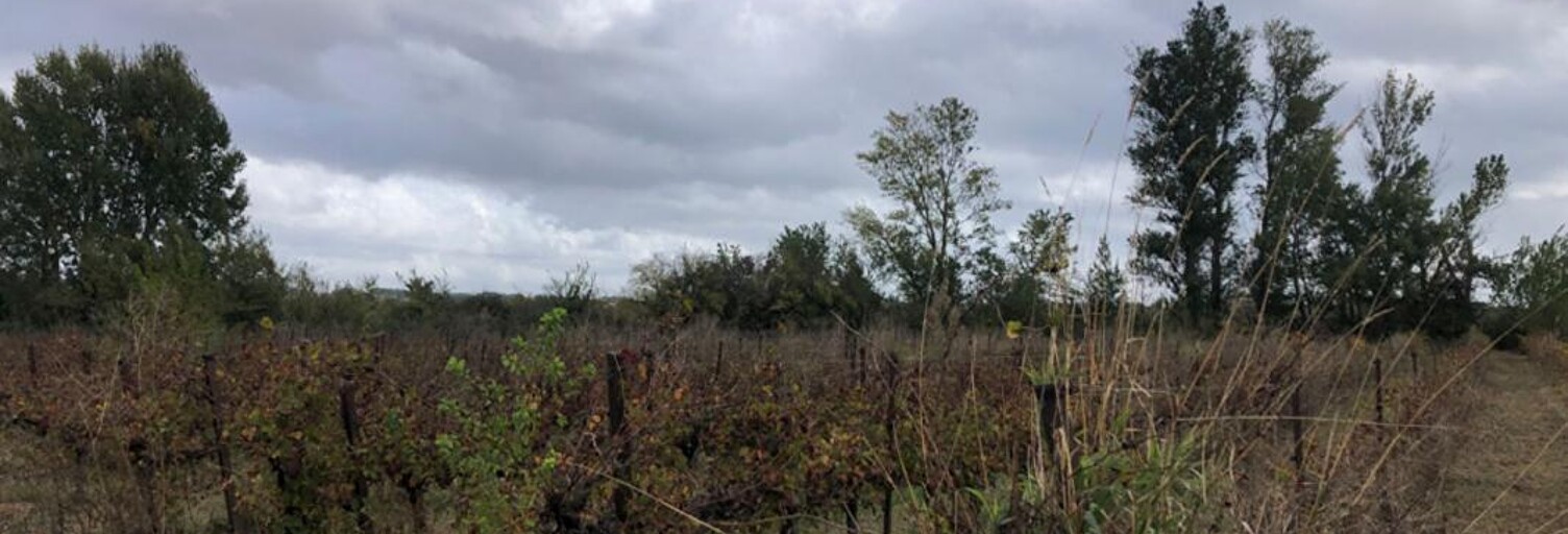 Terrain  18960 m² à vendre à Castillon-du-Gard (30210)