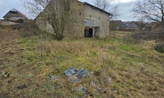 Photo N° 3