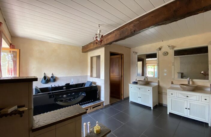 Entre St Gaudens, Lannemezan, Boulogne, fermette 175m², sur 7566m² source — photo 4