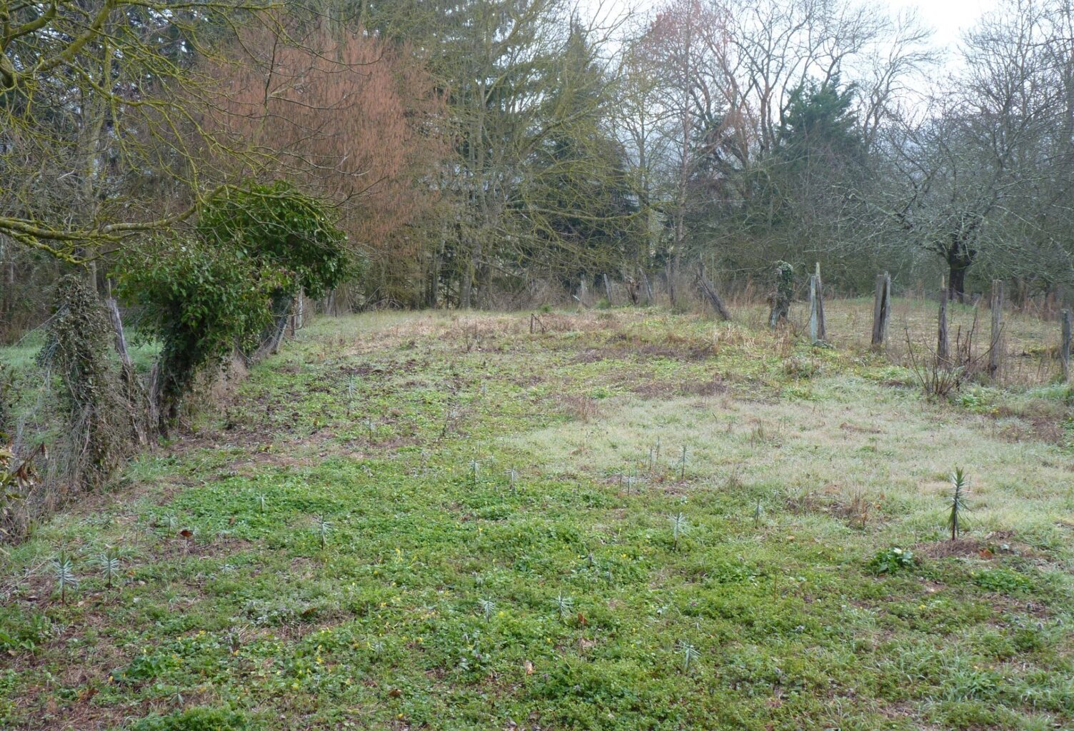 Grange avec cour et jardin à rénover , proximité Salies du Salat — photo 1