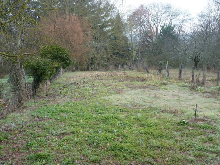 Grange avec cour et jardin à rénover , proximité Salies du Salat — photo 1