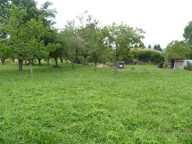 A 10 minutes d'Aurignac, maison avec appartement sur 3589 m² de terrain constructible — photo 4