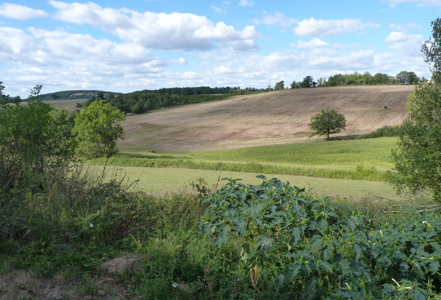 Ensemble bâtiments anciens sur plus de 2 h de terres agricoles — photo 1