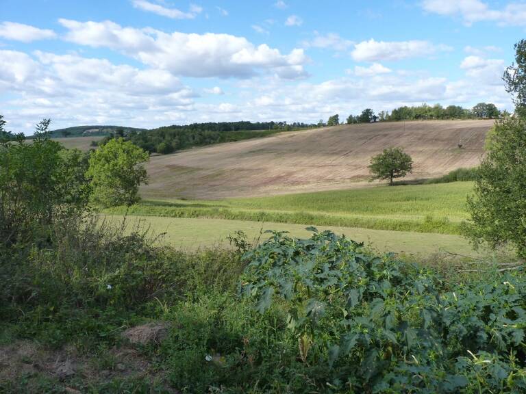 Ensemble bâtiments anciens sur plus de 2 h de terres agricoles — photo 1