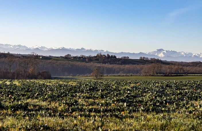 15' d'Aurignac, superbe propriété T8 avec dépendance sur plus de 3 hectares — photo 2