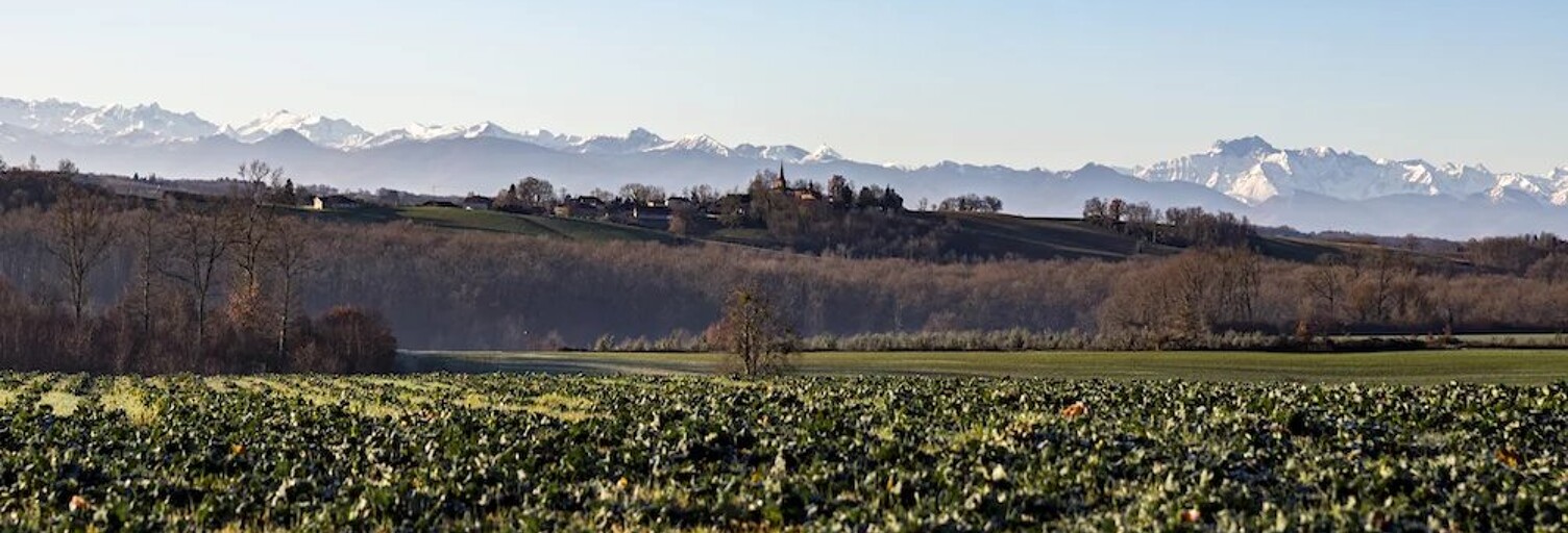 Photo N° 2