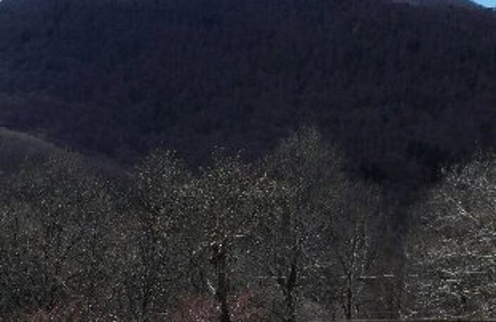 VUE EXCEPTIONNELLE — photo 3