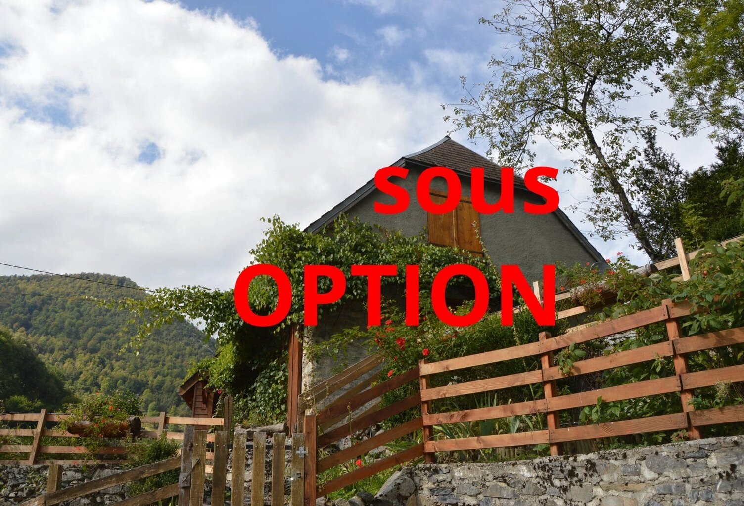 Grand chalet de montagne — photo 1