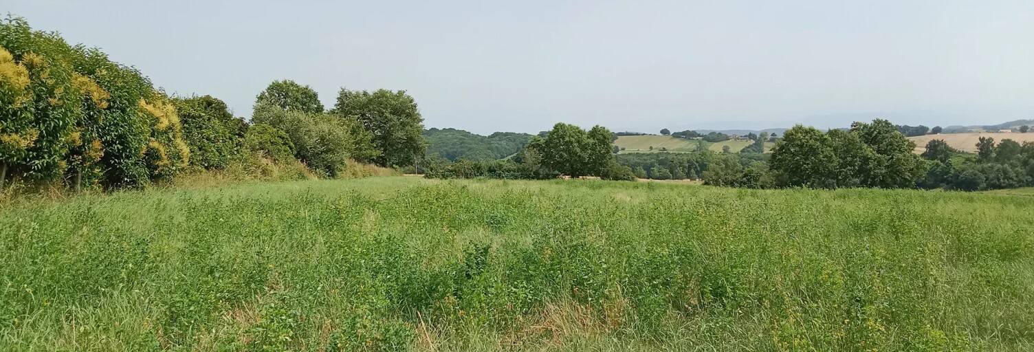 Terrain  4400 m² à vendre à Ciadoux (31350)