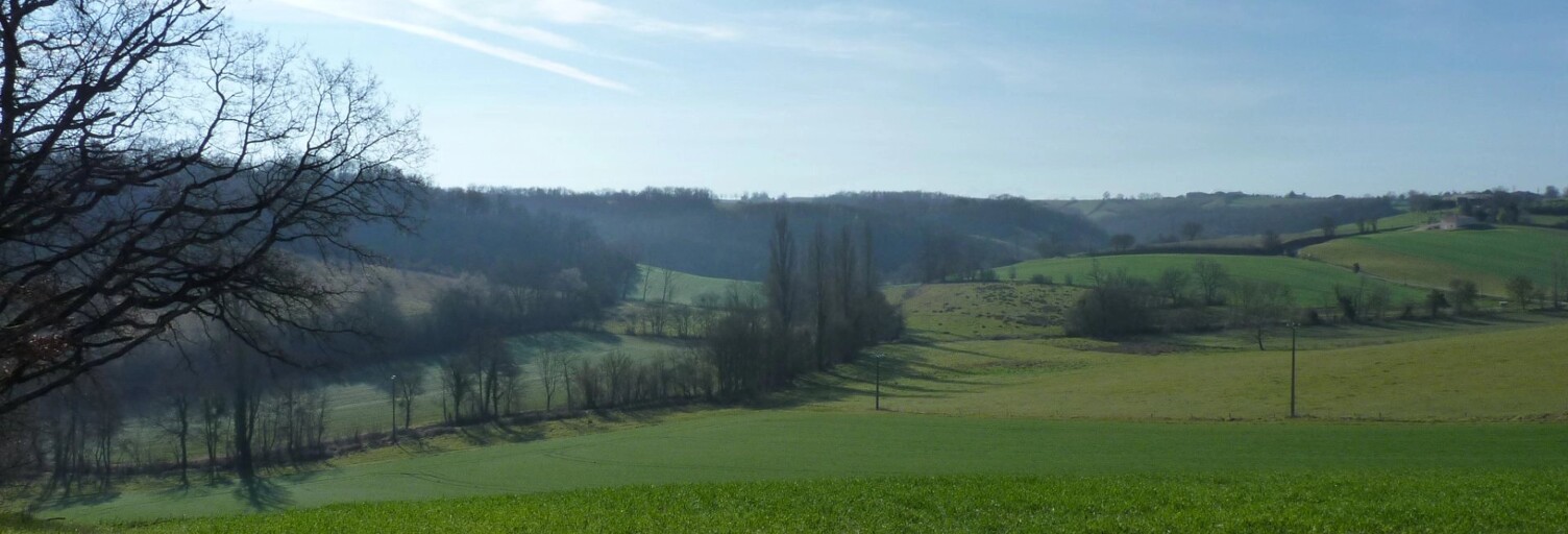 Terrain  5000 m² à vendre à Castéra-Vignoles (31350)