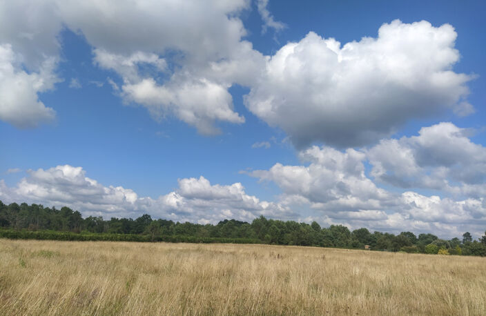 LOT DE TERRAIN VIABILISE 10 MN DE BAZAS - GIRONDE (33) - NOU — photo 2