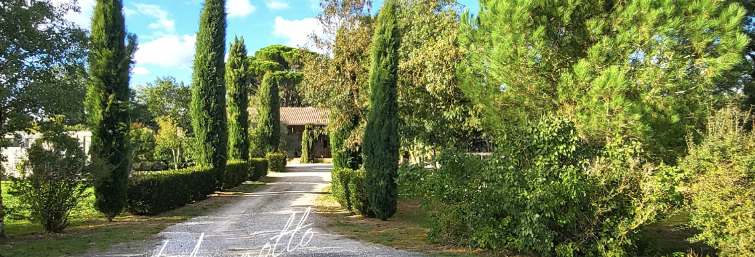 Maison 8 Pièces 240 m² à vendre à Lavaur (81500)