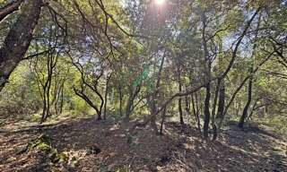 Terrain  13308 m² à vendre à Le Rouret (06650)