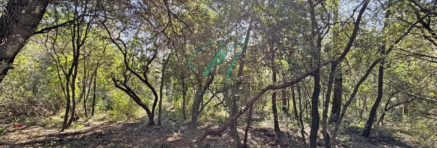 Terrain  13308 m² à vendre à Le Rouret (06650)