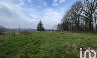 Photo N° 6