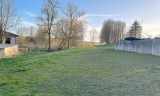Photo N° 5
