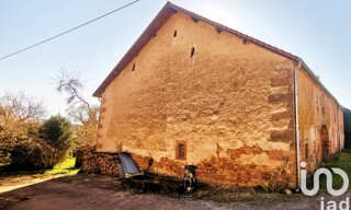 Photo N° 3