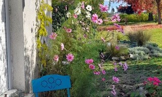 Photo N° 3