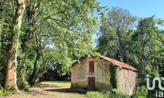 Photo N° 6