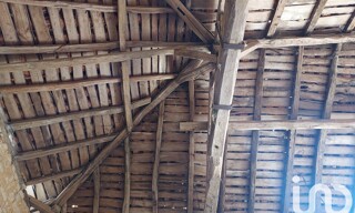 Photo N° 6