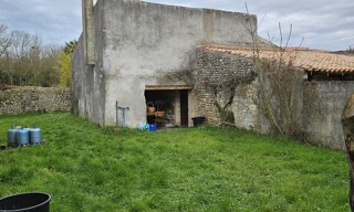 Photo N° 4