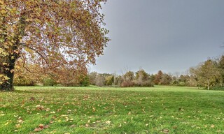 Photo N° 6