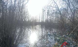 Commerce  6600 m² à vendre à Choiseul (52240)